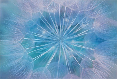 henriethe-larsen-fjernhealing-1 Fjernhealing Henriethe Larsen