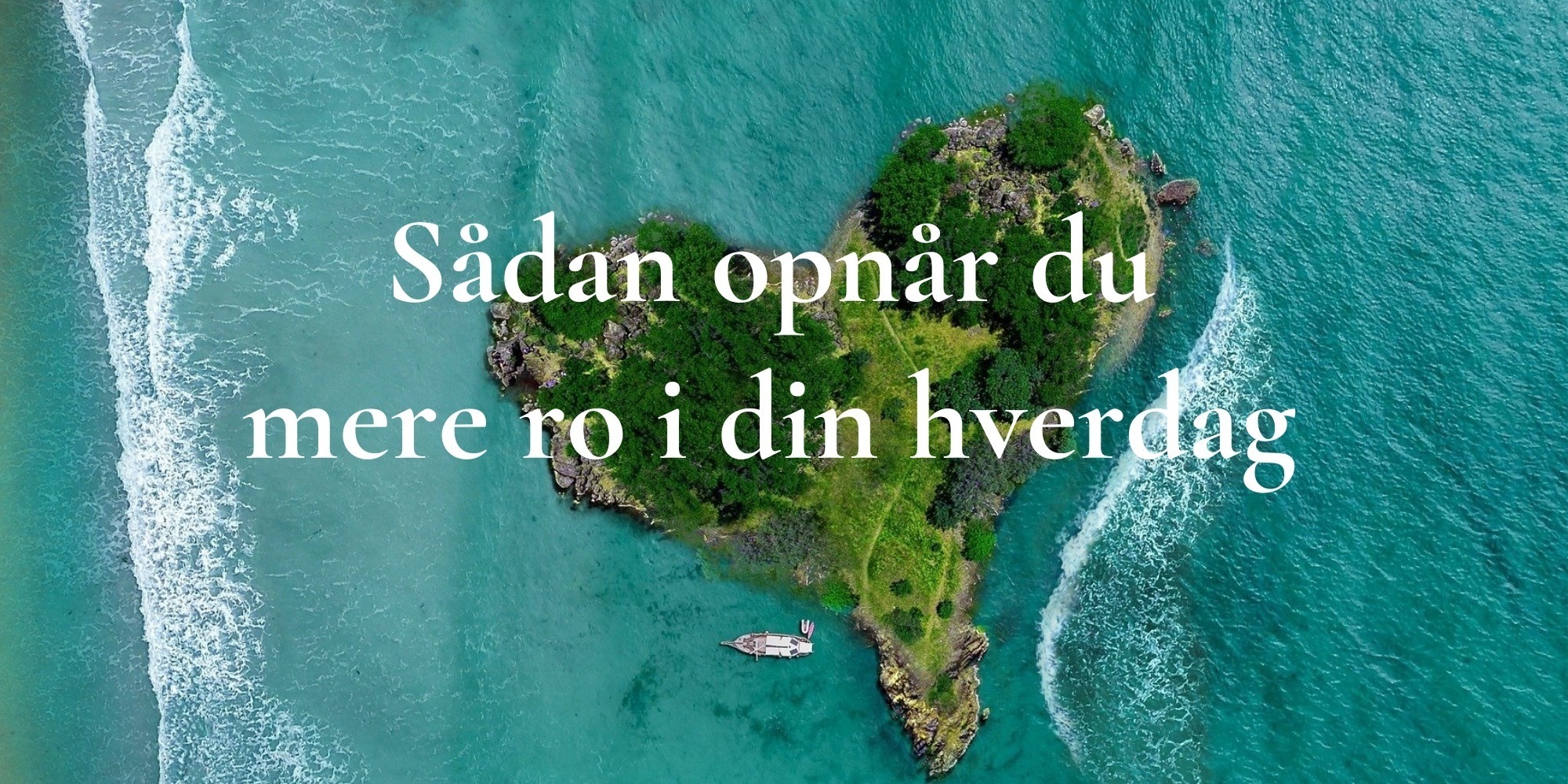 Headerbillede 2000x1000 (2)